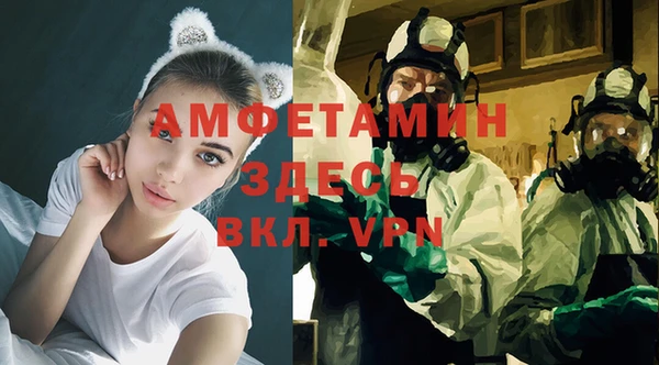 apvp Алзамай