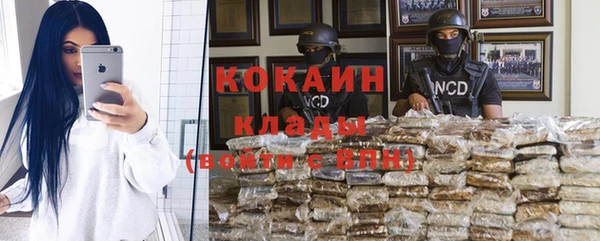apvp Алзамай