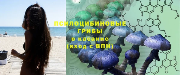 марки lsd Абаза